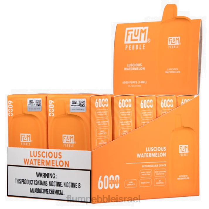 FLUM PEBBLES 6000 פחזניות 10 חבילות אבטיח טעים 2H6V51 | FLUM PEBBLE ISRAEL
