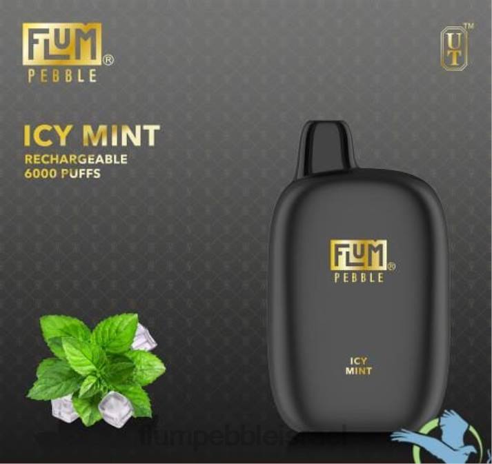 FLUM PEBBLES 6000 שאיפות מנטה קפואה 2H6V49 | FLUM PEBBLE VAPE PRICE