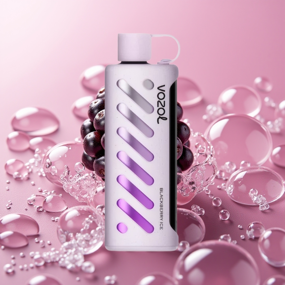VOZOL Gear Shisha 25000 Puffs Blackberry Ice Dual Mesh 1000mAh