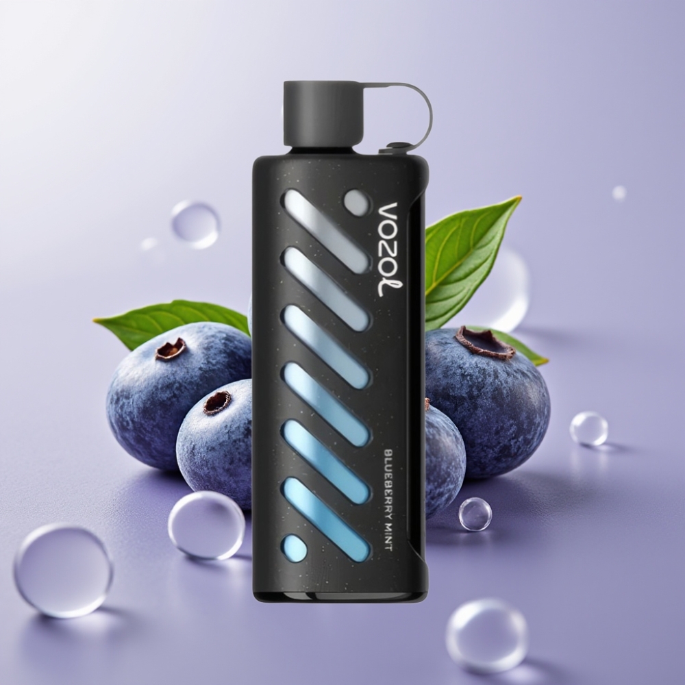 VOZOL Gear Shisha 25000 Puffs Blueberry Mint עם סוללת 1000mAh וטכנולוגיית S.i.L.C