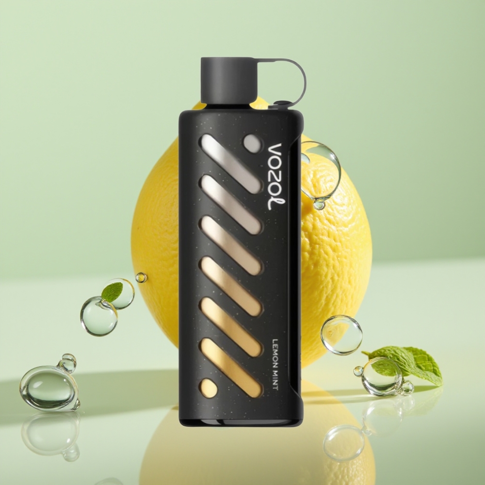 VOZOL Gear Shisha 25000 Puffs לימון נענע Dual Mesh 1000mAh