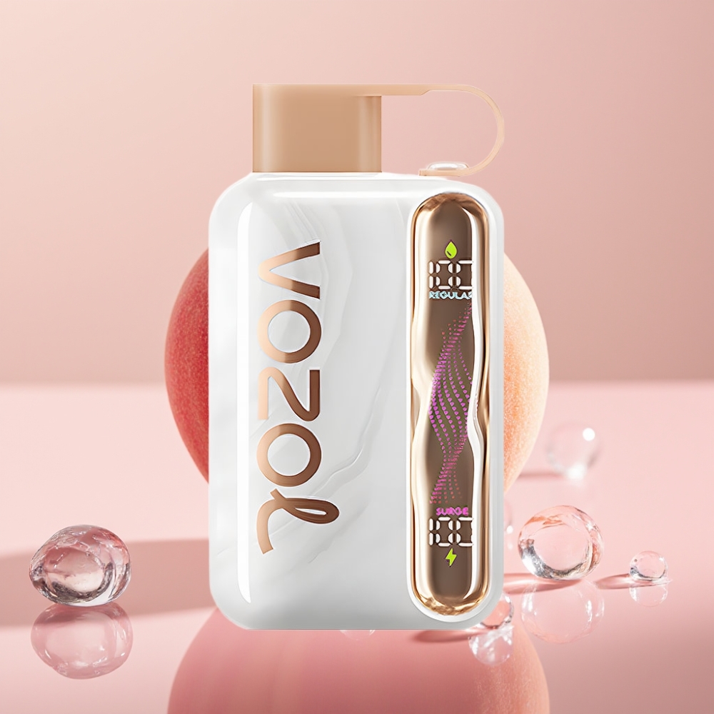 VOZOL STAR 40000 פיץ אייס 1000mAh Type-C online wholesalers Israel