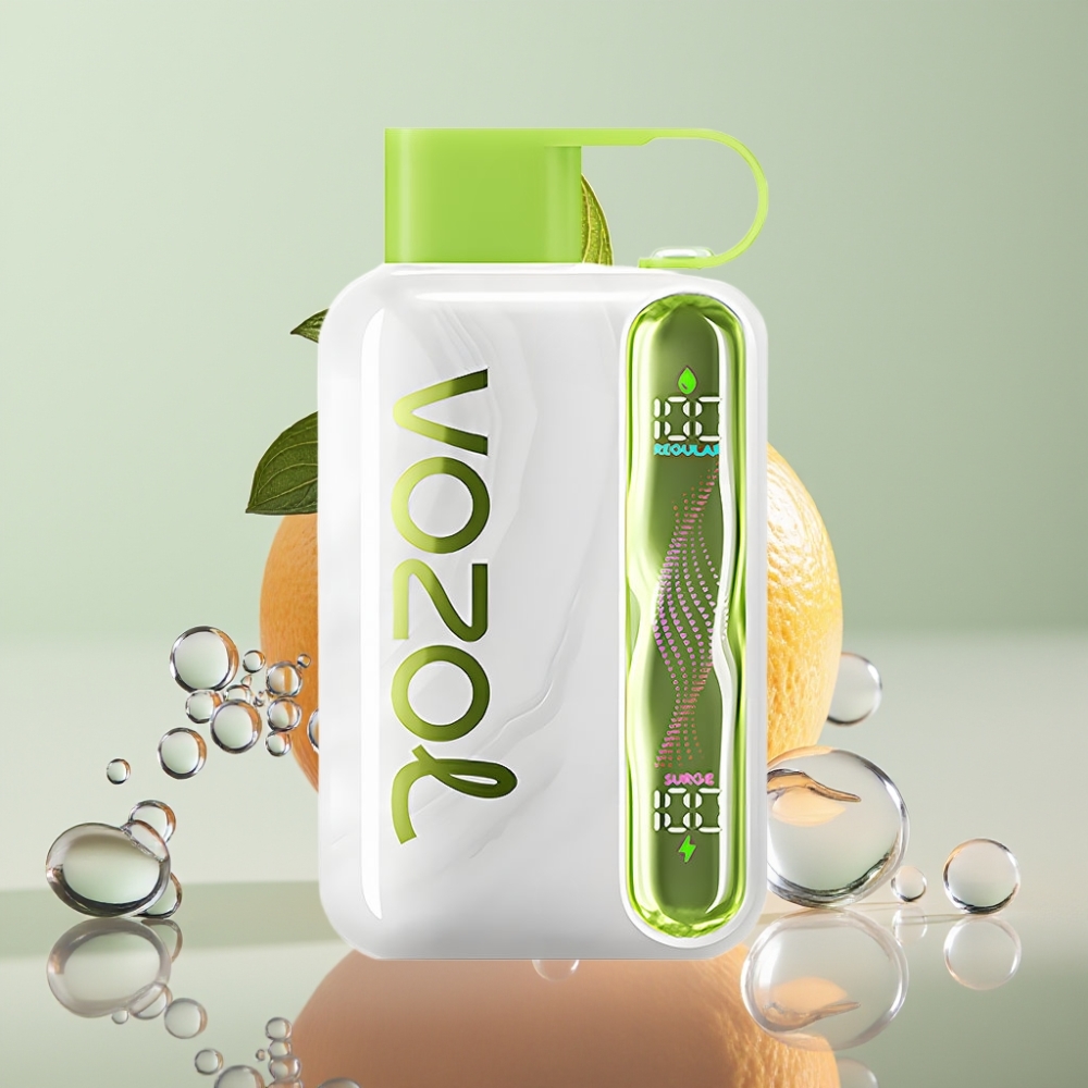 VOZOL STAR 40000 Cool Mint Disposable Vape 1000mAh Type-C