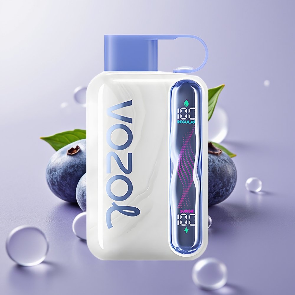 VOZOL STAR 40000 Disposable Vape פאפס עד 40000 טעם מנטה אוכמניות